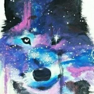 Meet your Posher, Brittney